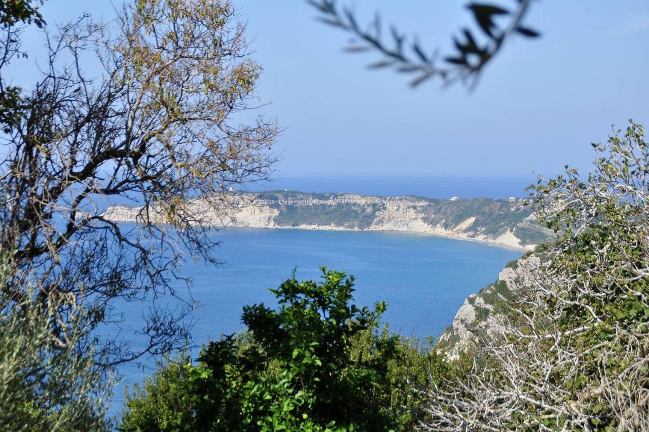 Villa Meli Afionas Corfu Zewnętrze zdjęcie